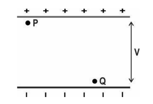 assignment for class 6 maths chapter 1