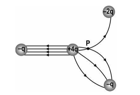 assignment for class 6 maths chapter 1