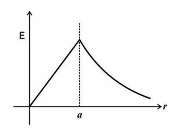 assignment for class 6 maths chapter 1