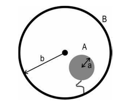 assignment for class 6 maths chapter 1