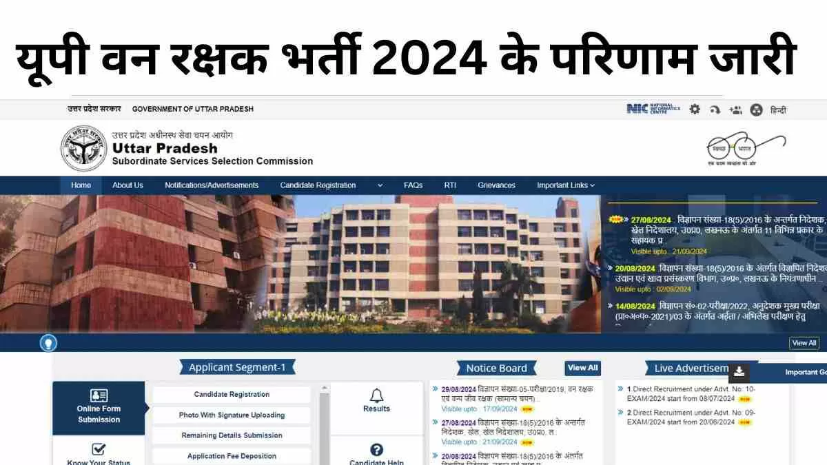 UPSSSC  Forest Guard Result 2024 OUT: वन रक्षक भर्ती का परिणाम घोषित, यहाँ से डाउनलोड करें PDF  