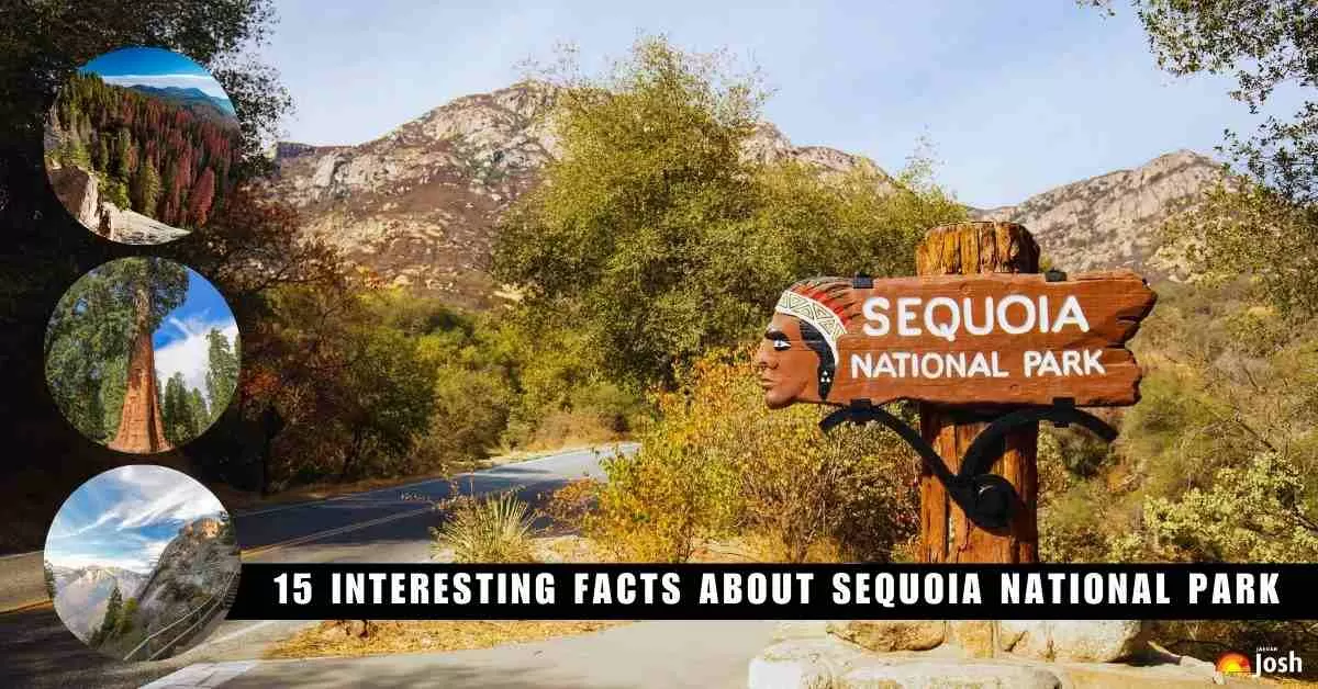 15 interesting facts about sequoia national park