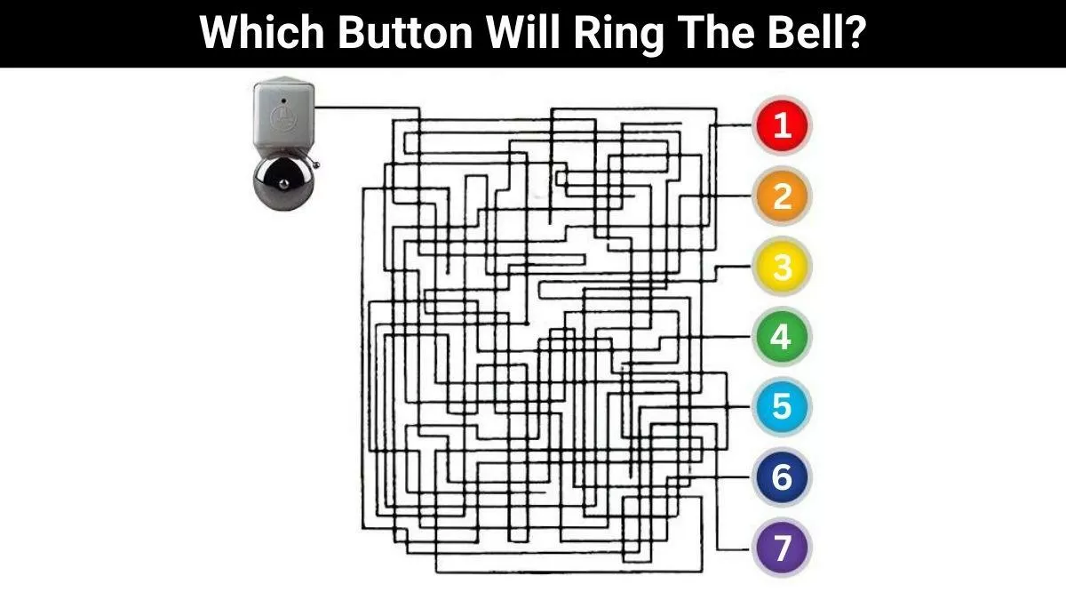 Which Button Rings The Bell?