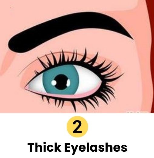 thick eyelashes personality traits
