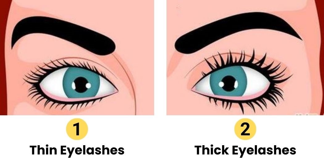 eyelashes personality traits