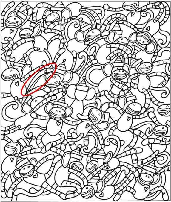 hidden optical illusions