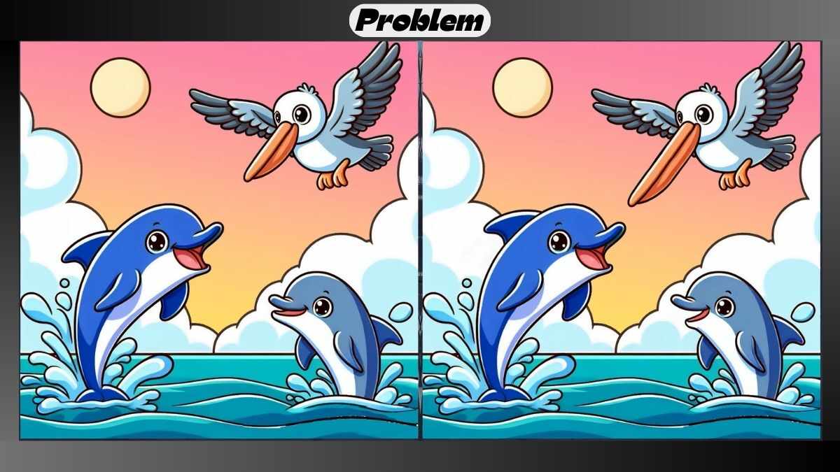 Find 3 Differences in 17 Seconds in This Dolphin and Pelican Picture