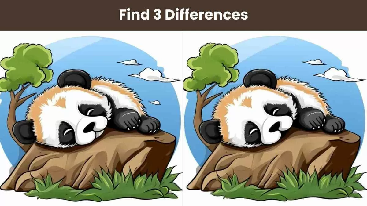 Find 3 differences in 12 seconds