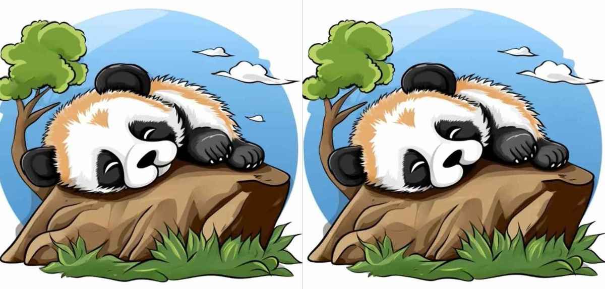 Find 3 differences between the panda pictures in 12 seconds!