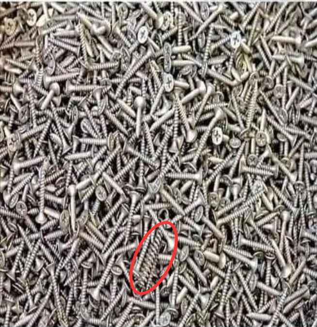 hidden optical illusions