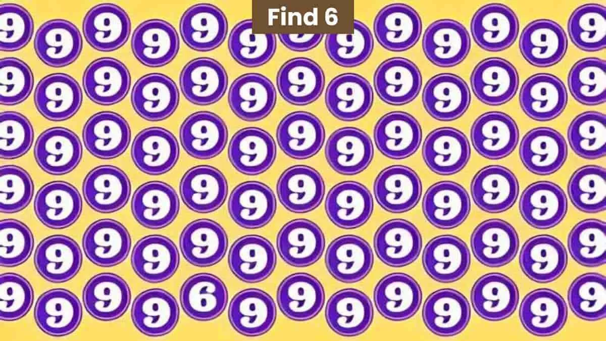 Find 6 in 3 seconds