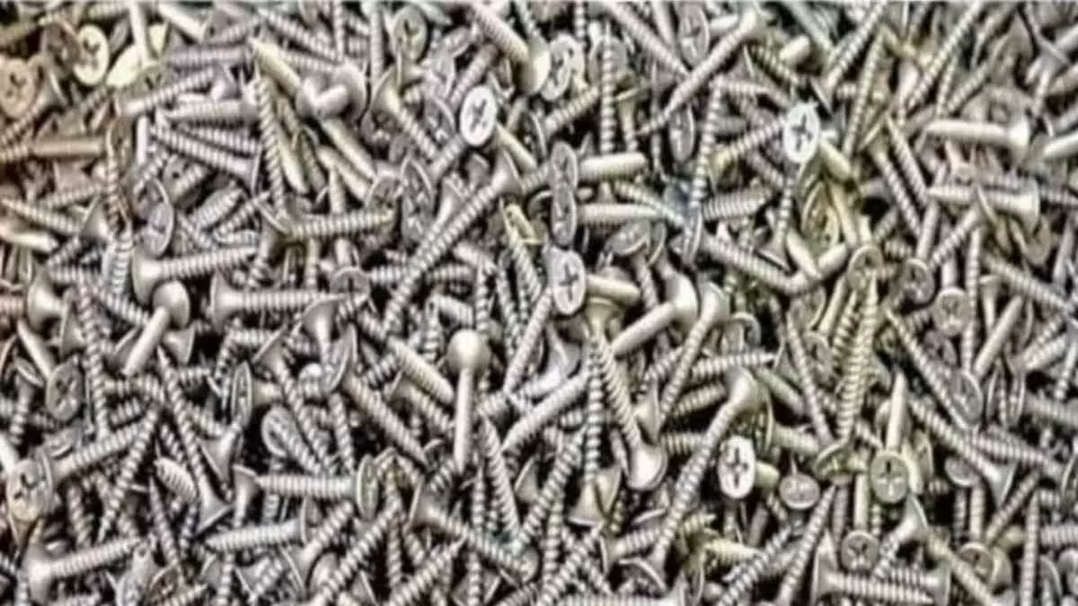 Can You Spot The Spring Among Nails?