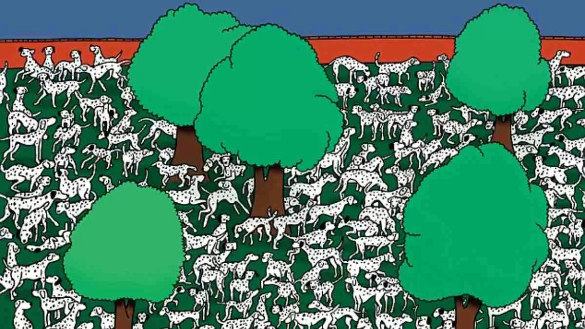 Spot One Spotless Dalmatian. 
