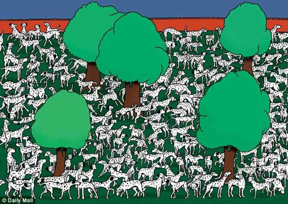 brain teasers with answers