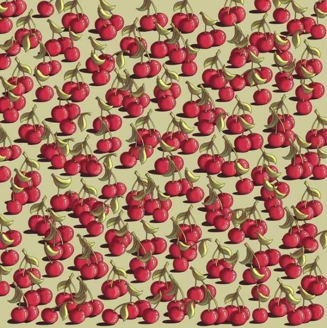 hidden optical illusions