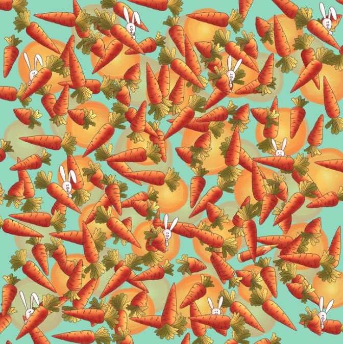 hidden optical illusions