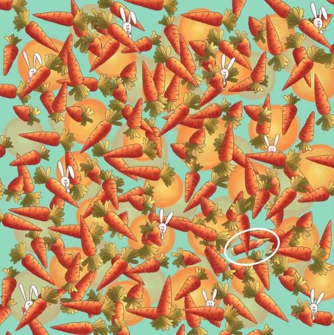 hidden optical illusions