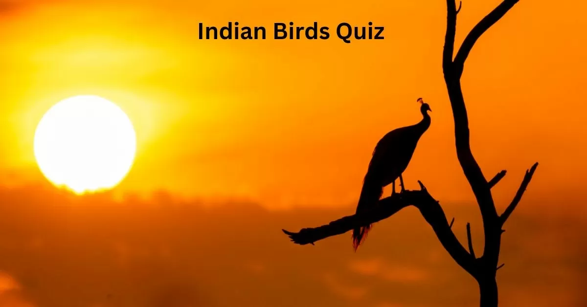 GK Quiz on Birds of India