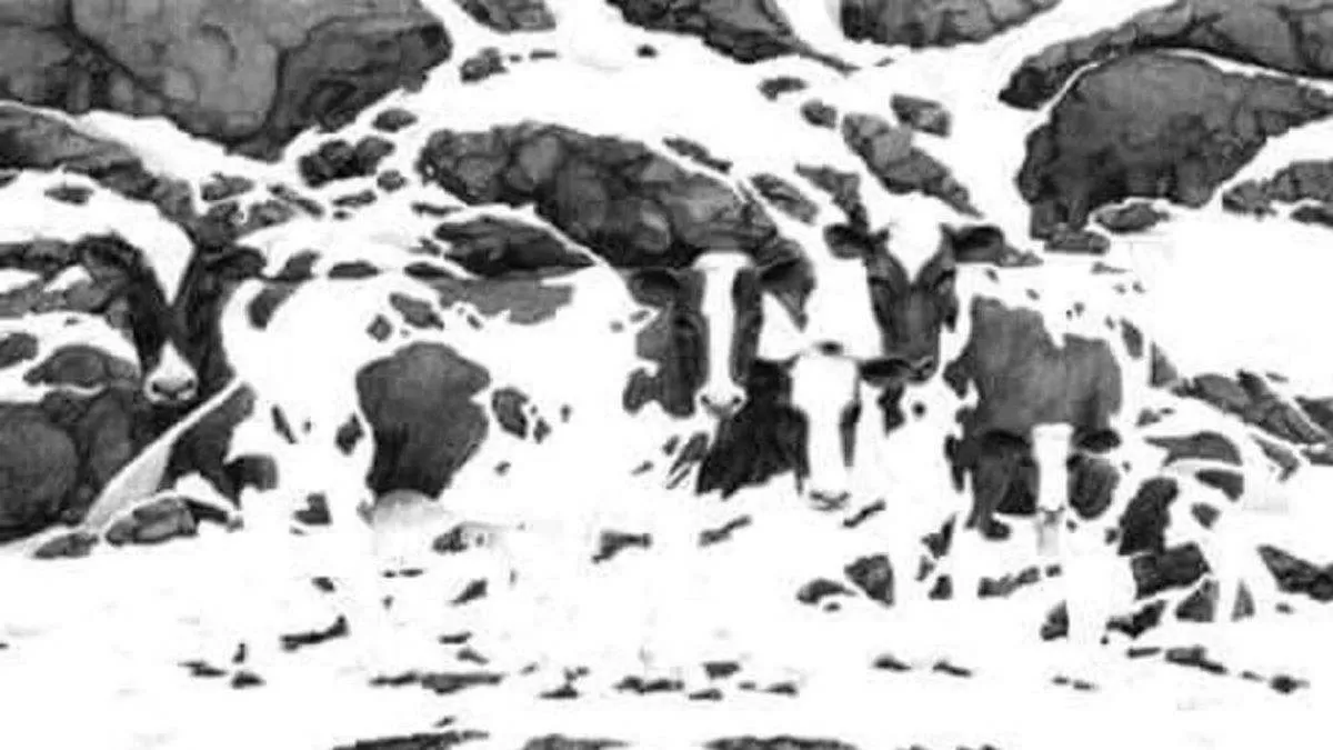 How Many Cows Can You Find In This Picture?