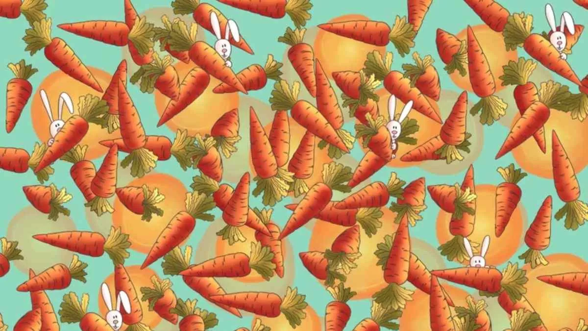 Spot The Carrot.