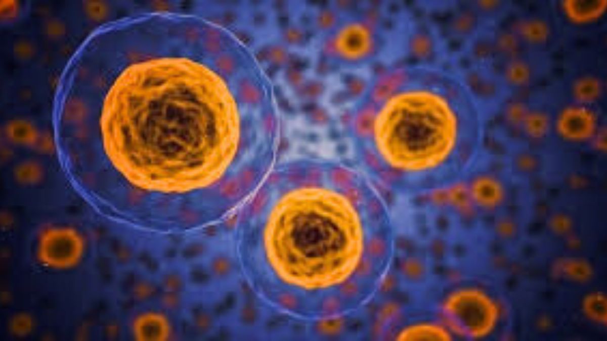 Top 10 Discoveries That Changed Biology Forever