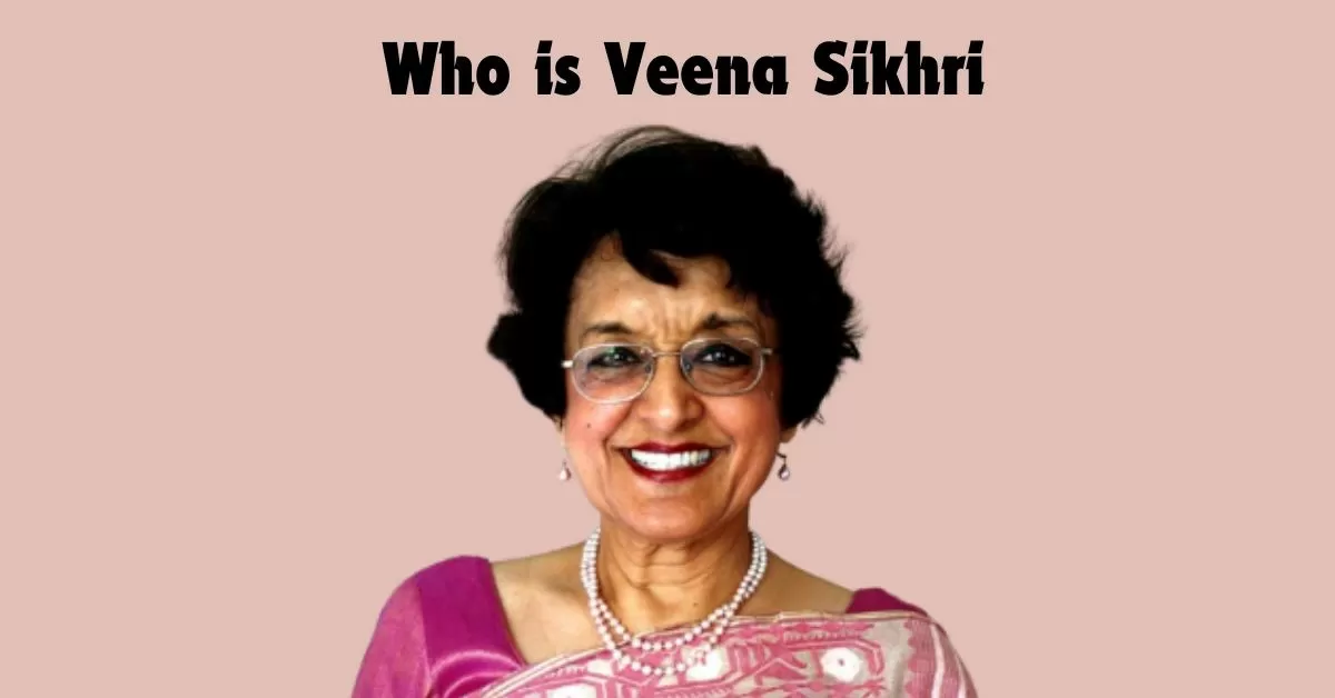 What are Veena Sikri's Concern Regarding Bangladesh's Turmoil?