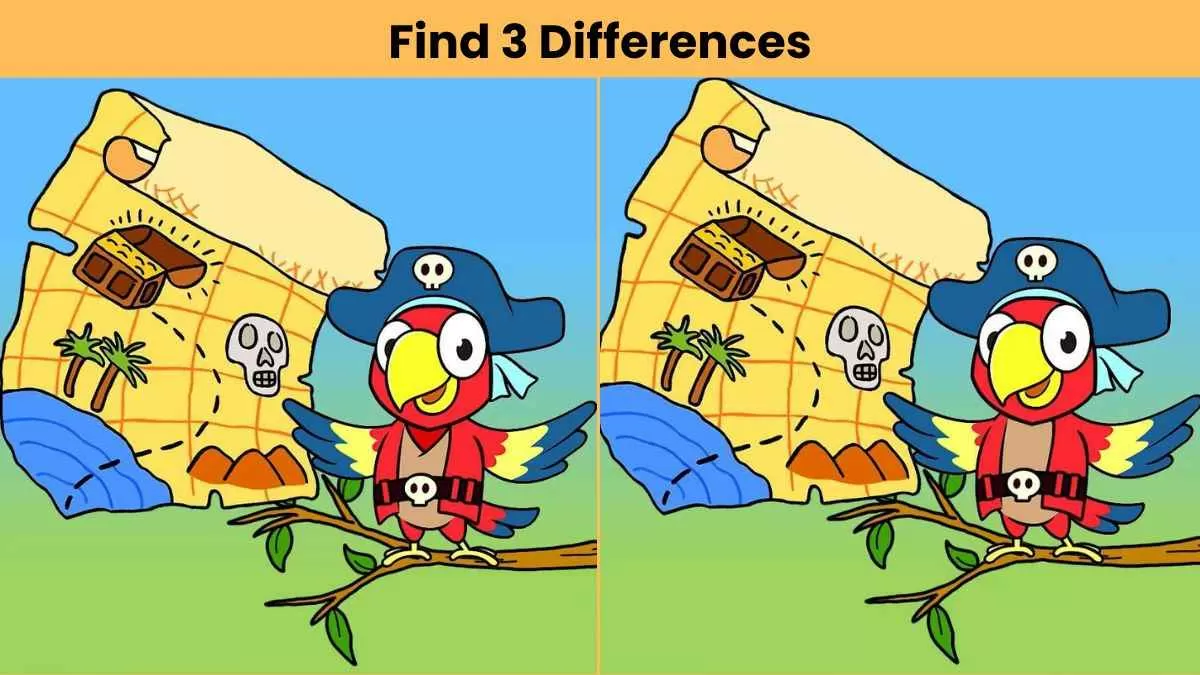 Find 3 differences parrot