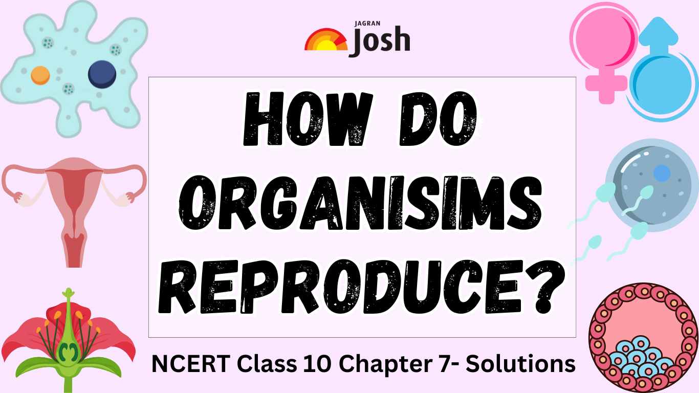 NCERT Solutions For Class 10 Biology Chapter 7 How do Organisms Reproduce: Download PDF 