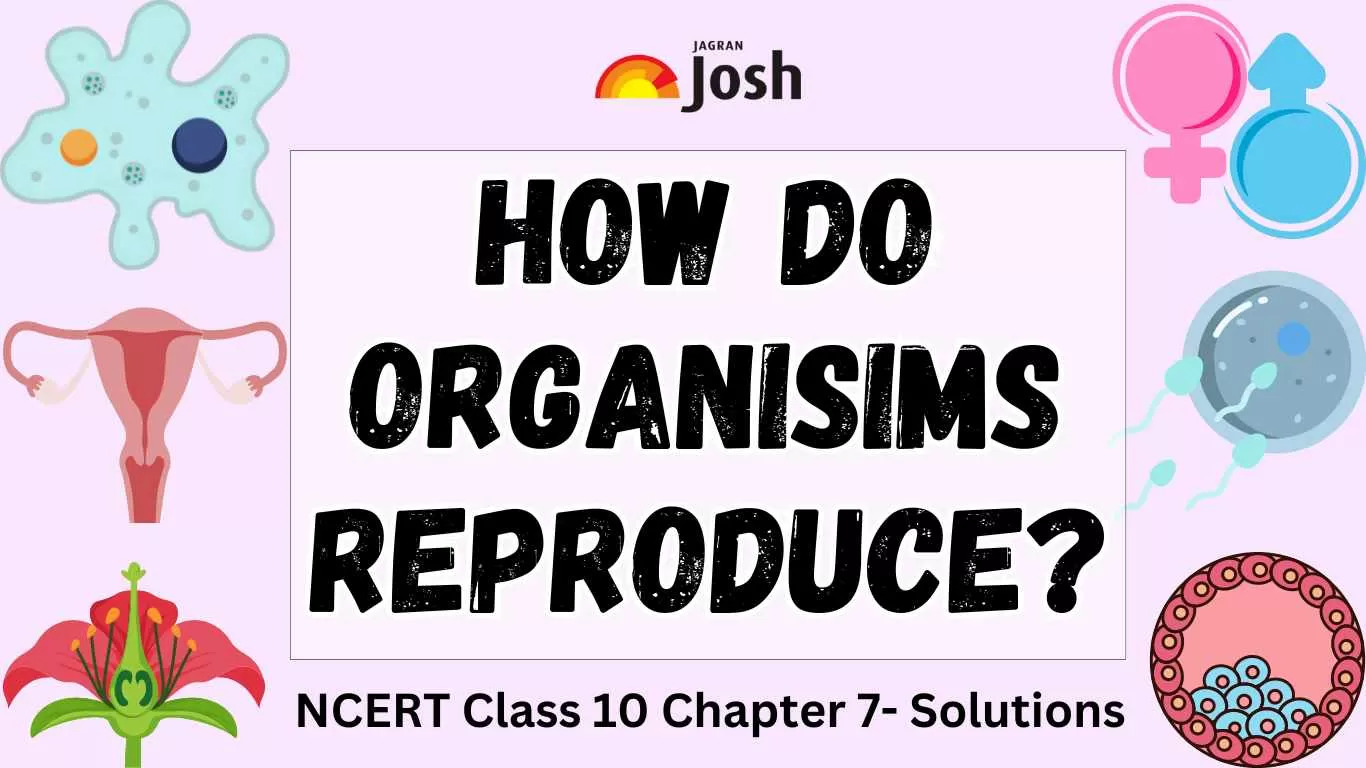 NCERT Solutions for How do Organisms Reproduce class 10 questions answers PDF