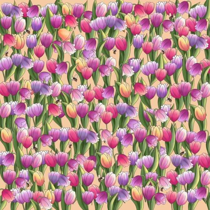 hidden picture puzzles