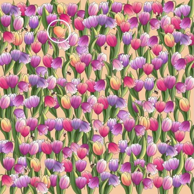 hidden picture puzzles