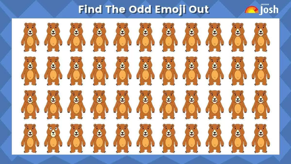 Find the odd bear