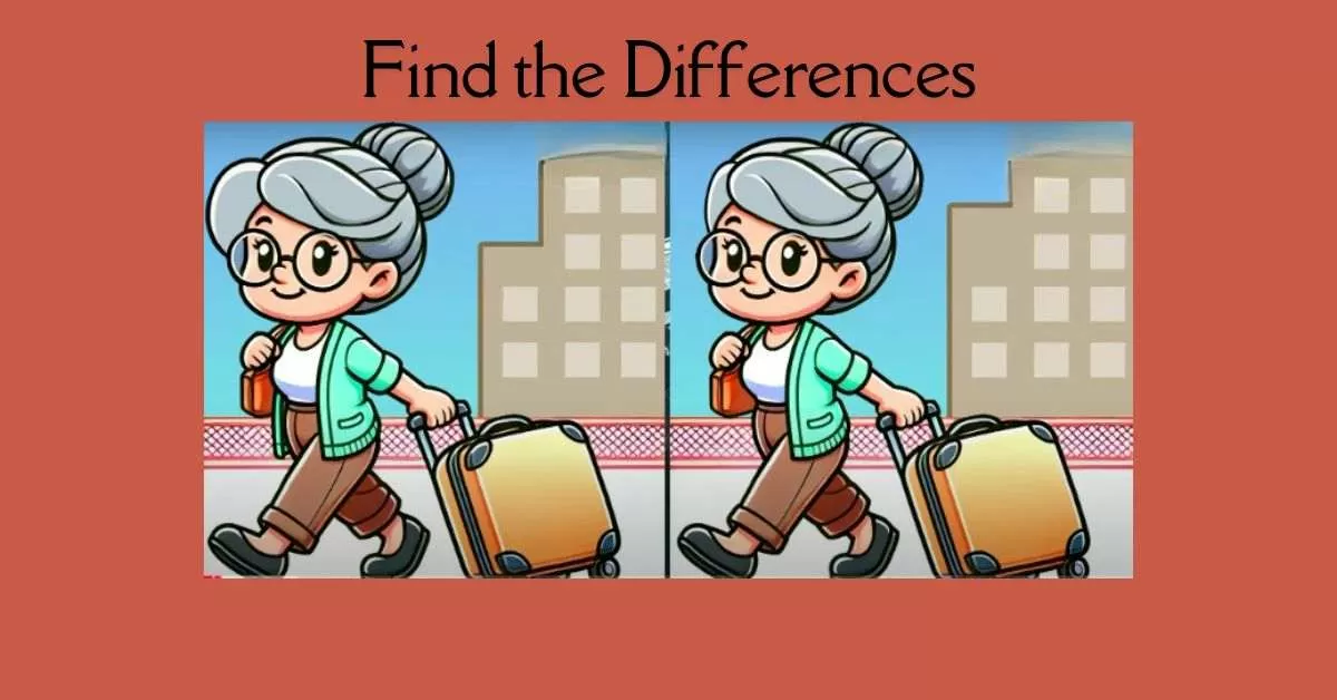 Spot the 3 Differences in Lady Carrying Travelling Bag