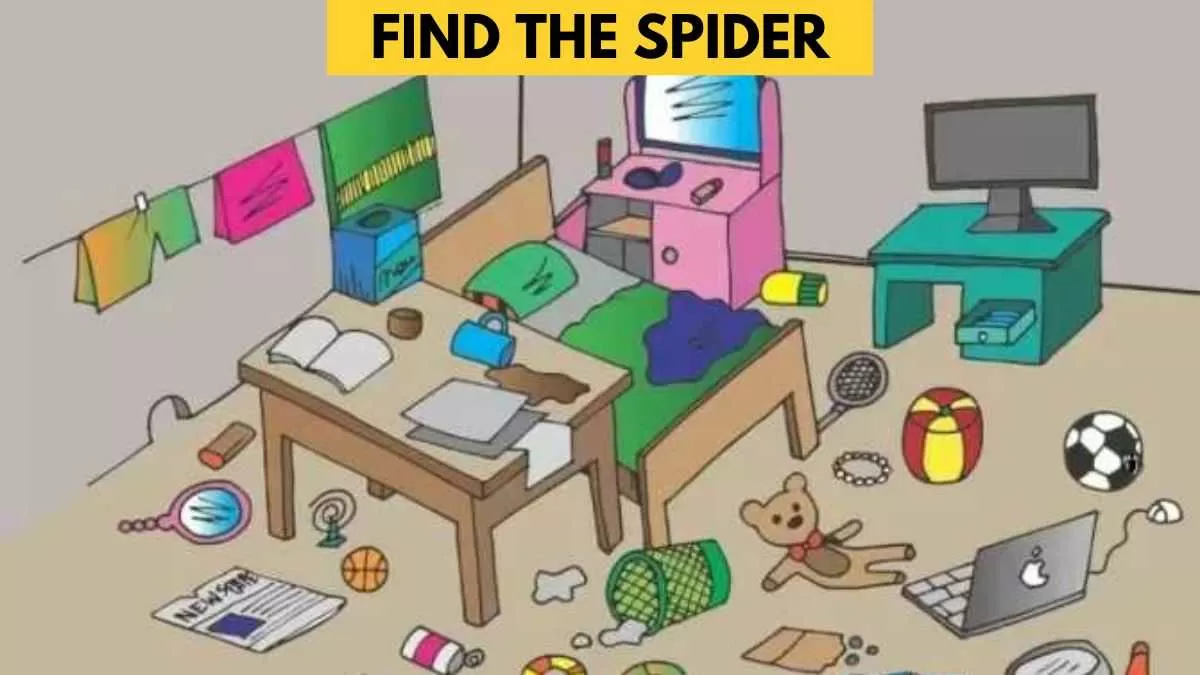 Spot the spider