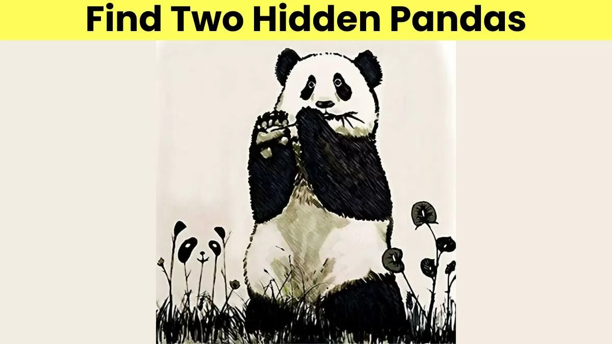 Spot two hidden pandas.