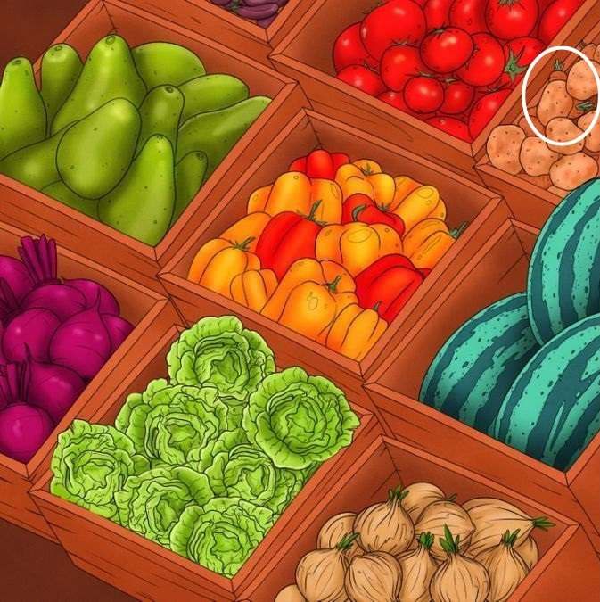 hidden optical illusions with answers