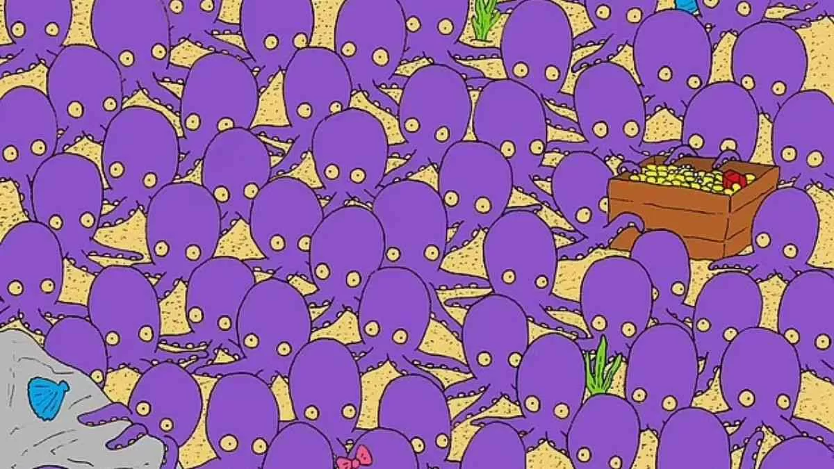 Spot the fish.