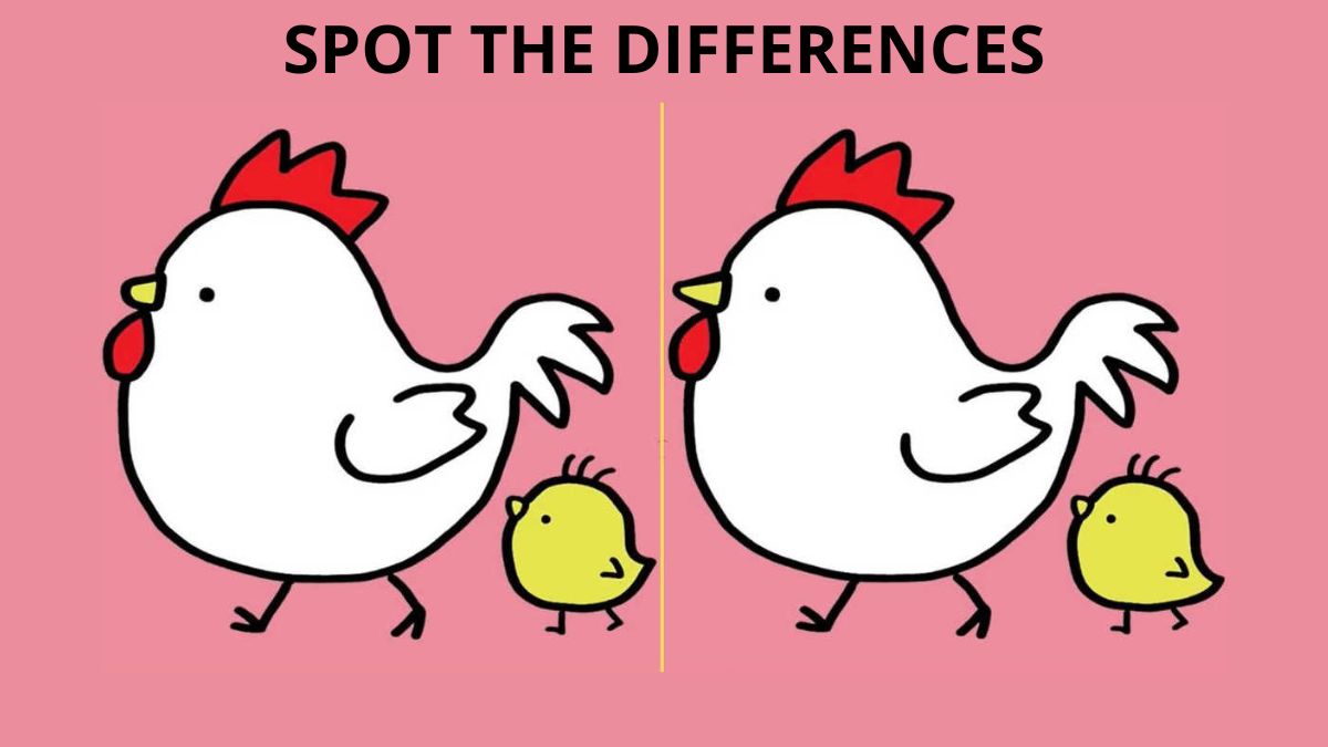 Spot 3 Differences Between the Pictures of a Hen and Her Chick in 15 ...