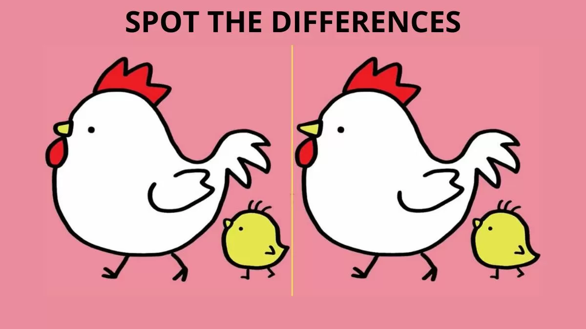 Spot the differences in 15 seconds