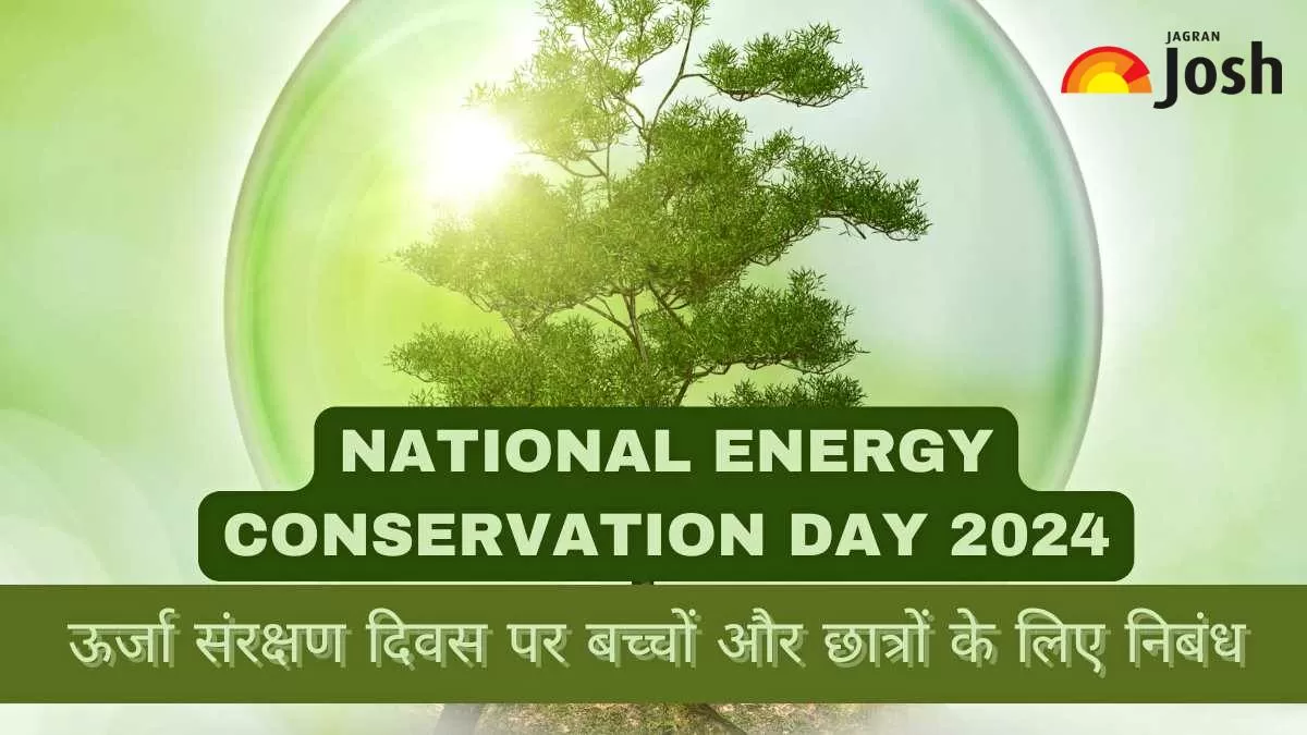 Essay on Energy Conservation in Hindi