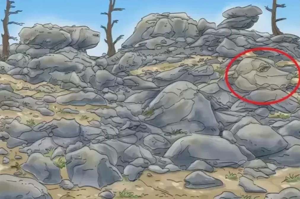 optical illusion pictures with hidden images