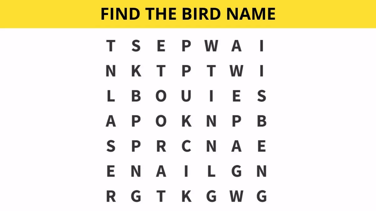 Find the bird name in 7 seconds