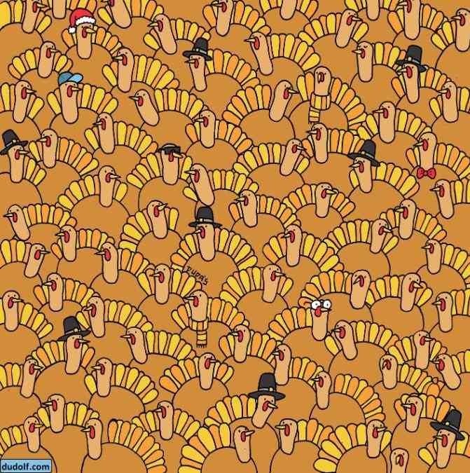 hidden picture puzzles with answers