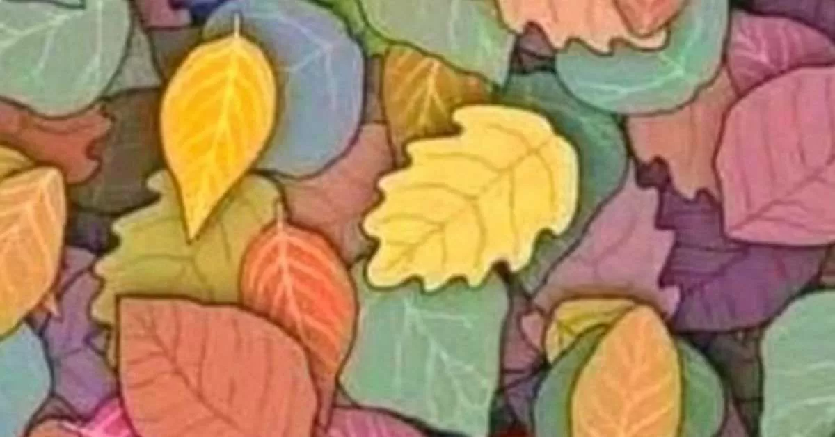 Spot the Hidden Frog in Just 7 Seconds