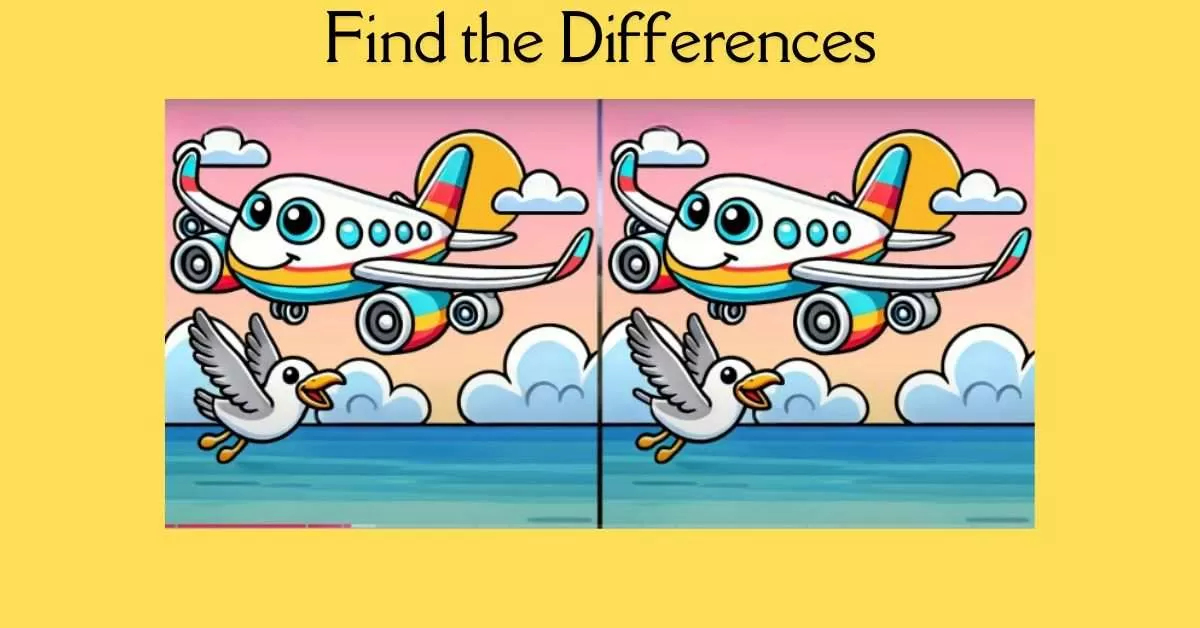 Spot the 3 Differences in Aeroplane Flying