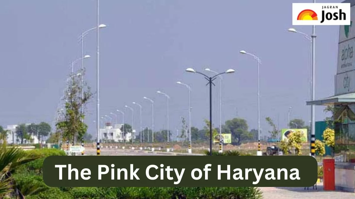 The pink city of haryana