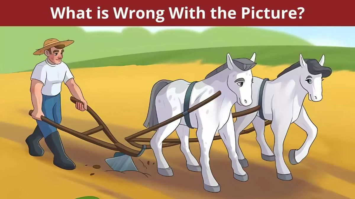 Find the mistake in 4 seconds