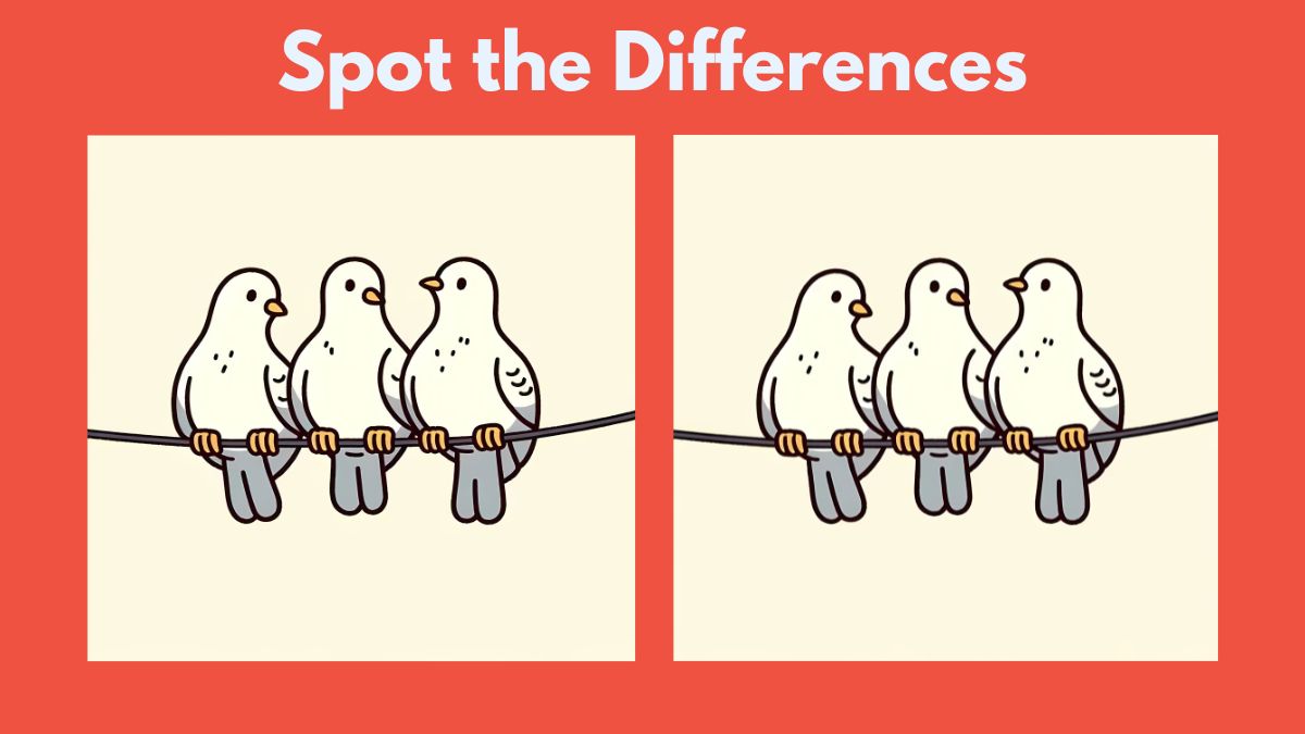 Spot 3 differences between the pigeon pictures in 12 seconds!