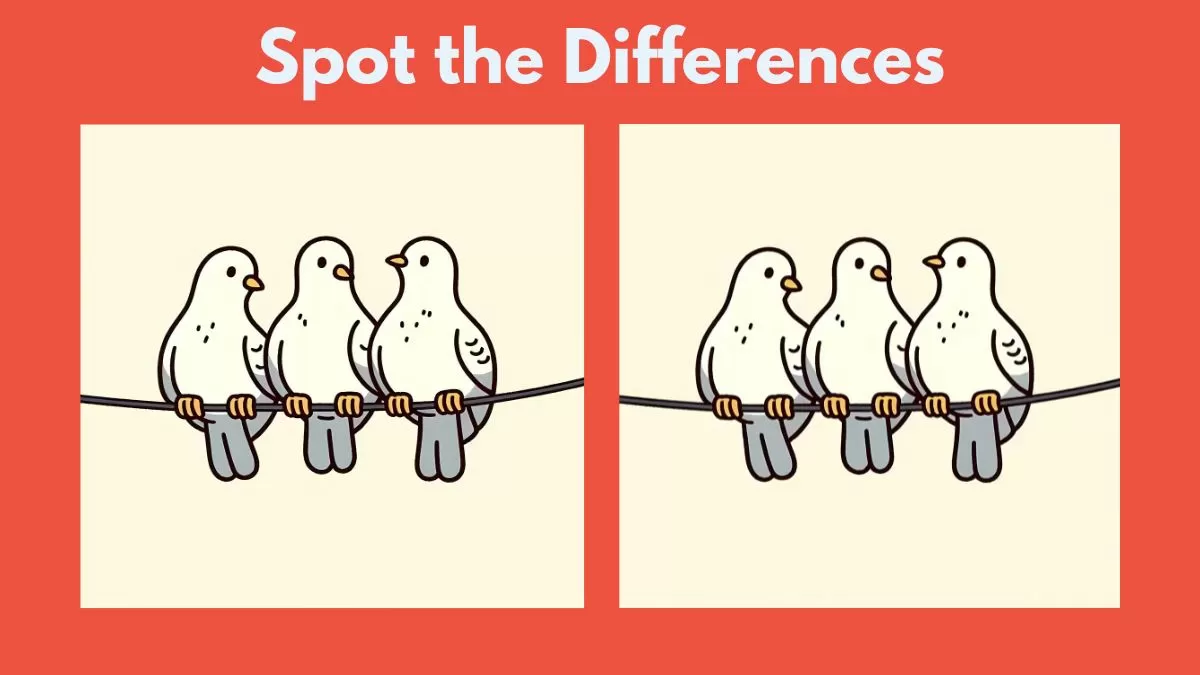 Spot the differences