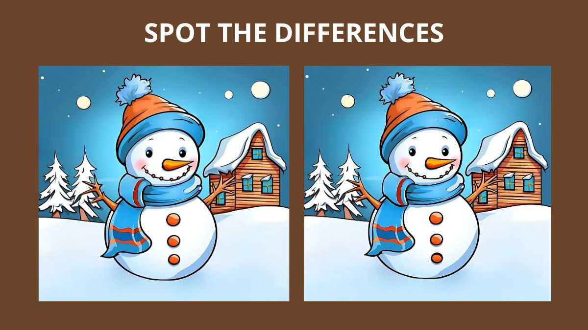 Spot 3 Differences Between the Pictures of a Snowman in 19 Seconds!